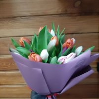 25 multi colored tulips - Rastatt