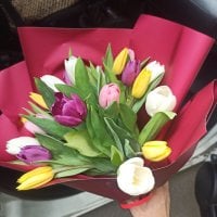25 різнокольорових тюльпанів