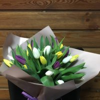  35 tulips