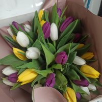  35 tulips
