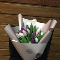 35 tulips mix