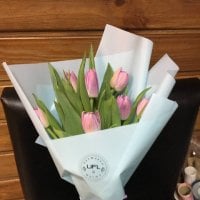 Приємне поздоровлення 7 тюльпанів
