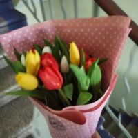 15 multi-colored tulips