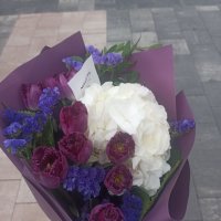 Блакитна гортензія і тюльпани - Тирговіште