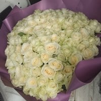 Букет 101 біла троянда