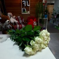 Цветы поштучно белые розы