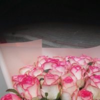 25 розовых роз