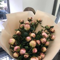 Mixed peonies - Maputo