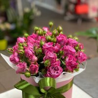 Pink spray roses in a box