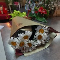 Букет квітів Ромашки - Таррагона