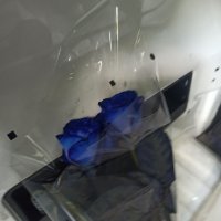 Blue roses by the piece