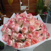 51 roses Jumilia - Escaldes