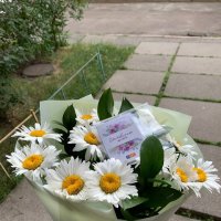 Букет квітів Ромашки - Вінниця