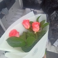 Spring promo! 3 roses - Krupjansk