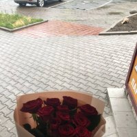 Красные розы поштучно