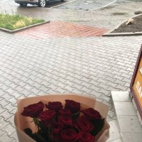 Ukraine Flowers red roses by the piece - Pikus