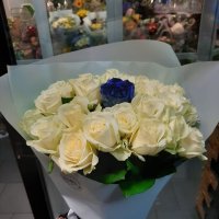 Blue roses by the piece - Greenmount