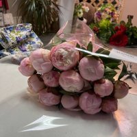 Pink peonies - Rishon LeZion