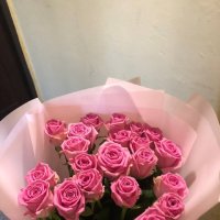 Pink roses by the piece - Oftersheim