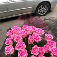 Pink roses by the piece - Babai