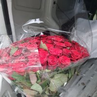 Promo! 101 red roses - Las Colinas