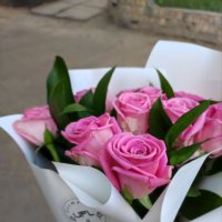 Of 9 pink roses