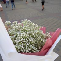 Bouquet of baby\'s breath