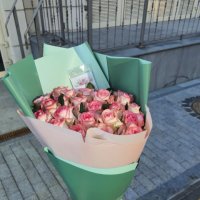 25 pink roses