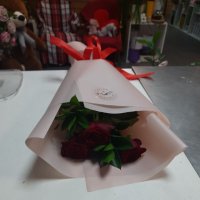 Афродита 11 коралловых роз