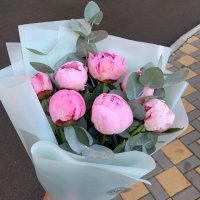 7 light pink peonies - Newark