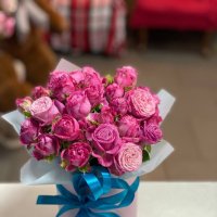 Pink spray roses in a box