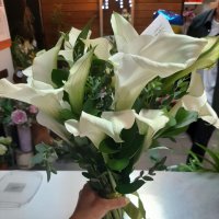 Calla white piece - Port Moresby