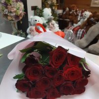 15 roses - Snovsk (former Schors)