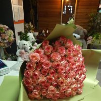 101 pink rose - Daejeon