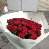 51 красная роза Акция