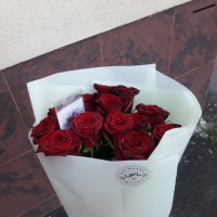 15 roses - Radomyshl