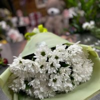Букет ромашек