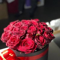 23 Red roses in a box