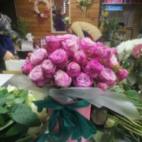 Pink spray roses in a box - Bexley