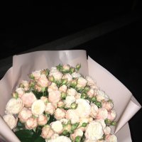 15 pink spray roses - Andros