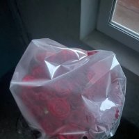 Красные розы в коробке 23 шт