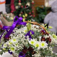 Свежесть Хризантемы в корзине - Белая Церковь