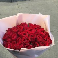 51 красная роза