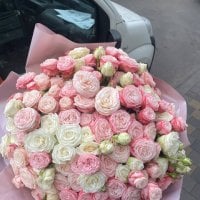51 кустова троянда
