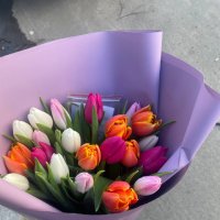 19 multi-colored tulips - Latina