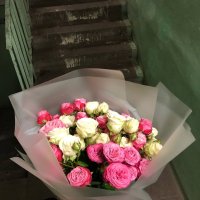 Поштучно кустовая роза Леди Бомбастик 