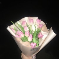 15 pink and white tulips  - Batumi