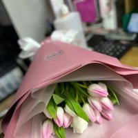 15 pink and white tulips  - Skanderborg
