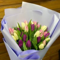 35 tulips mix