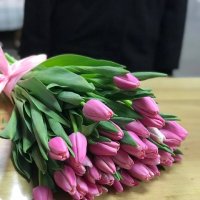 Фотография цветов